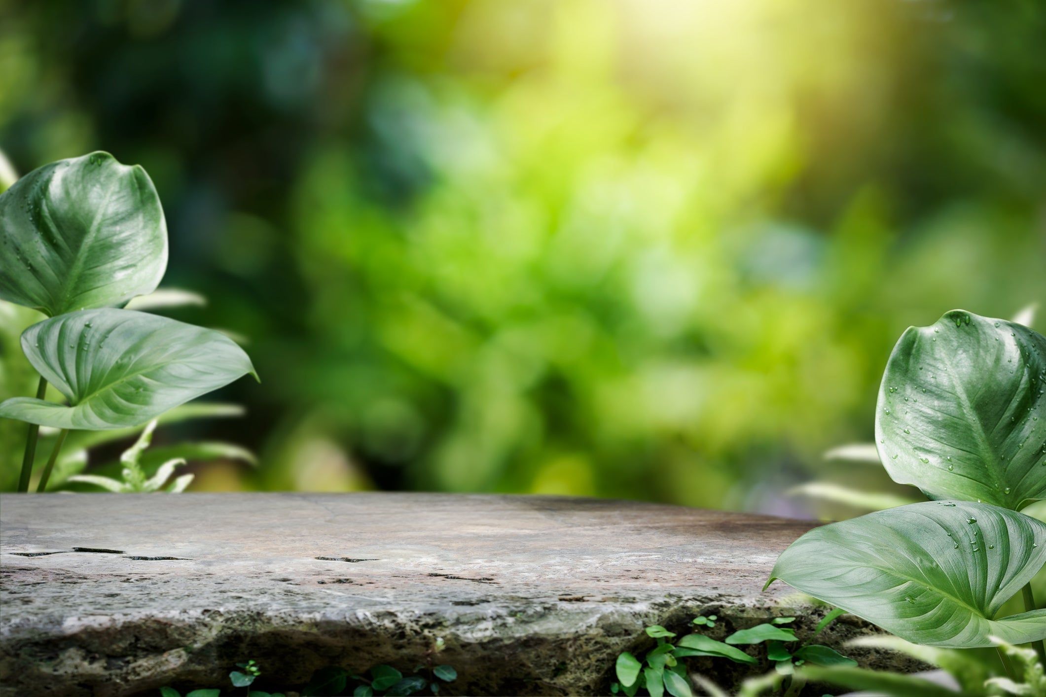 Les produits biologiques et naturels et la norme ISO16128